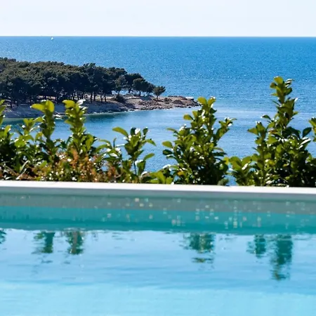 New! Seaview With Heated Pool, A Hot Tub, Finnish Sauna And Billiards Villa Dolac